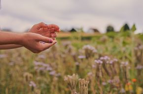 Bild: N.Morlok Bild: N.Morlok